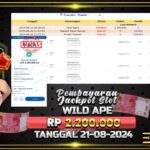 BUKTI JACKPOT SLOT WILD APE TERPERCAYA DI INDONESIA TGL 21-08-2024